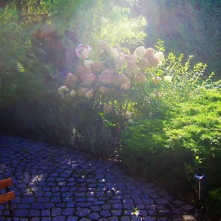 Tabula Duszniki Zdrój